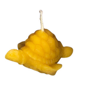 CANDELE DI PURA CERA D'API "TARTARUGA"