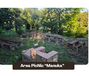 Area PicNic