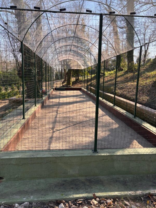 campo1