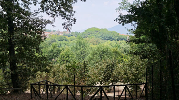 passeggiata in natura paesaggio