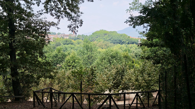 passeggiata in natura paesaggio