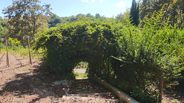 passeggiata in natura