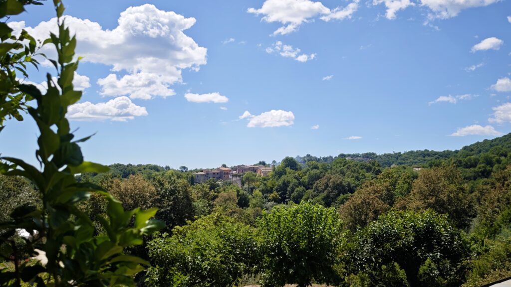 MVIMG_20250805_121714