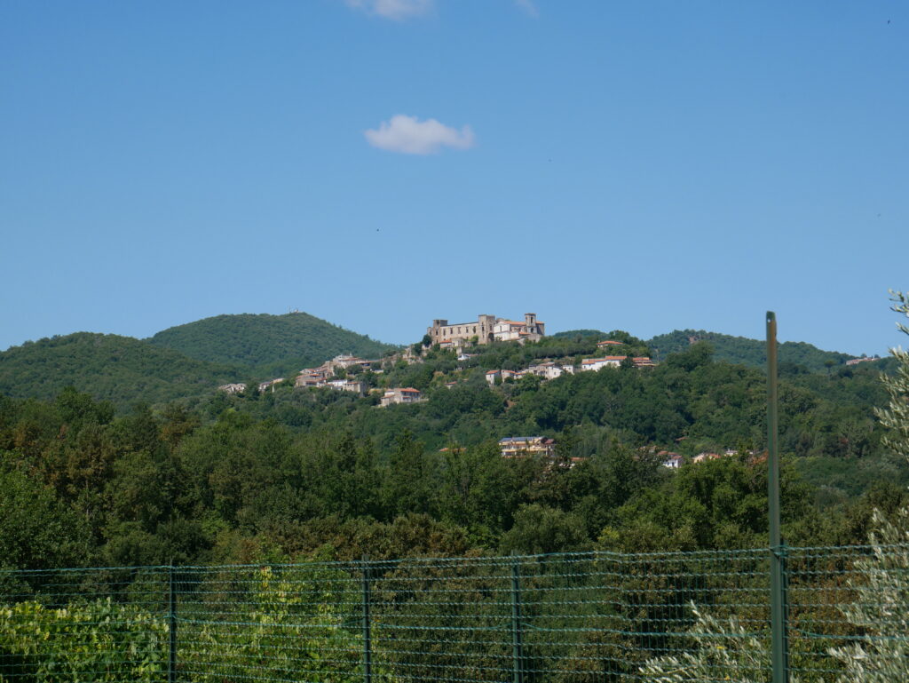 P1110591