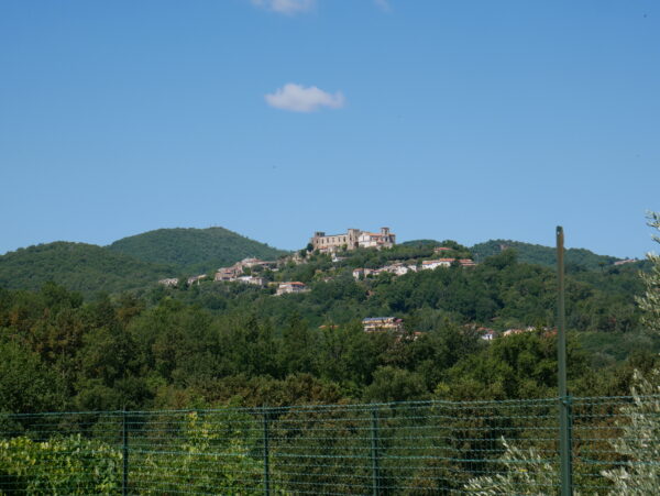 P1110591
