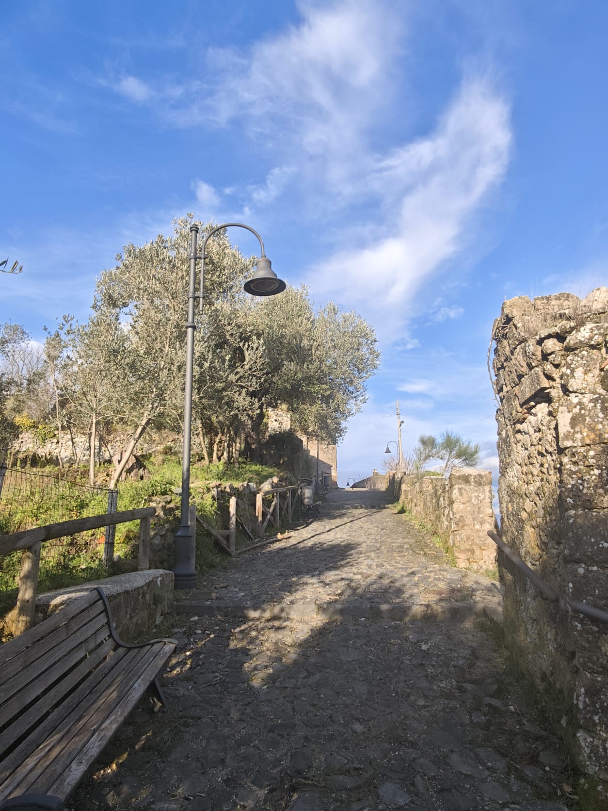 Terracorpo