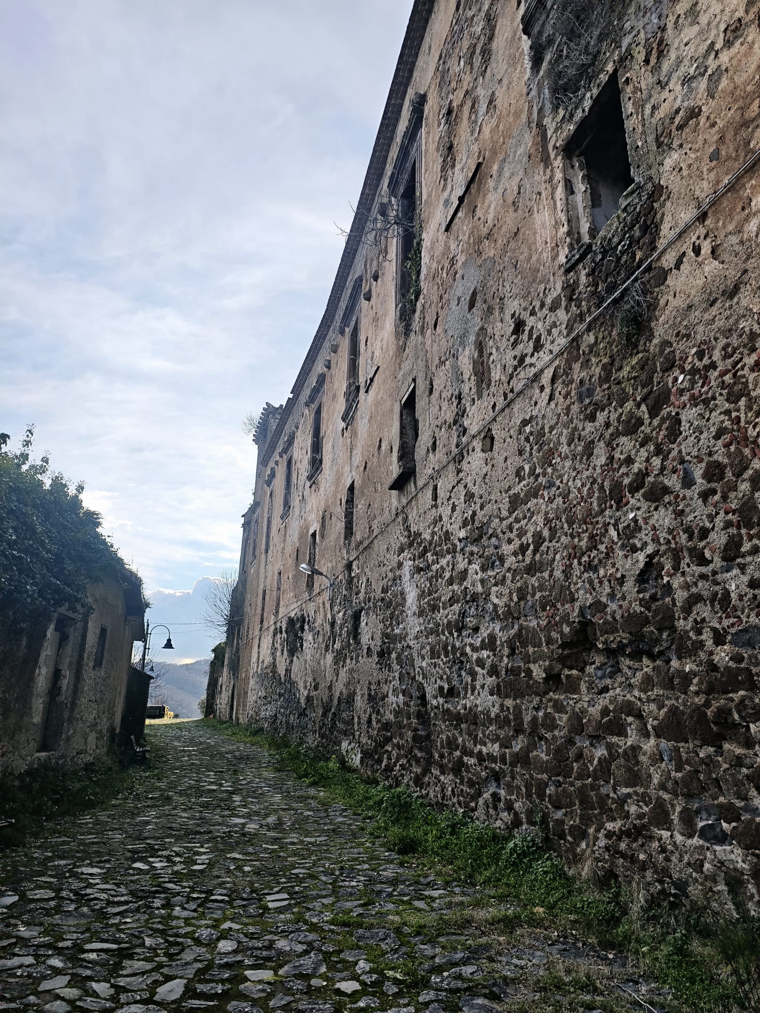 Terracorpo16