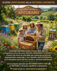 Scopri l’Apiturismo alla Fattoria Capometa: Un Viaggio tra Natura, Api e Benessere